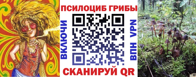 Галлюциногенные грибы мицелий  Таштагол 